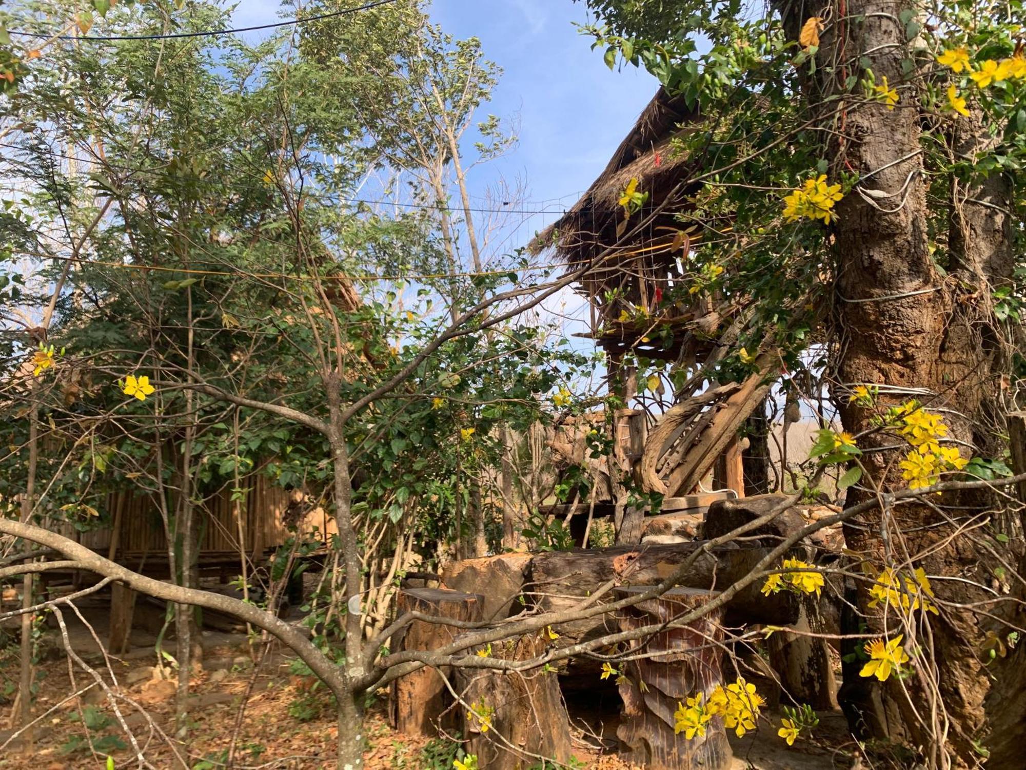 Villa Hoàng Ánh - Kon Xom Luh à Kon Tum Extérieur photo